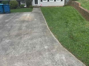 Joanne H.'s Bush Trimming service result