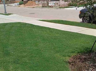 Patrick E.'s lawn maintenance service result