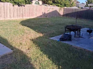 Tamara G.'s lawn service service result