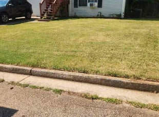 Chrystal S.'s turf care service result