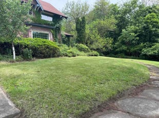Heather F.'s turf maintenance service result