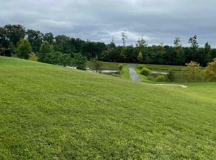 Belinda J.'s lawn maintenance service result