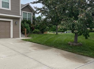 Dillon G.'s turf maintenance service result