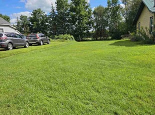 Andrea G.'s lawn care services service result
