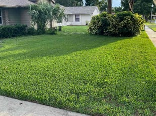 Adam W.'s grass cutting service result