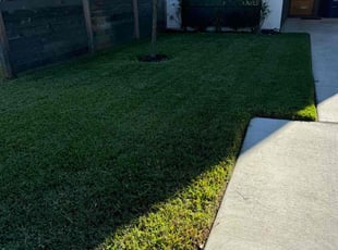 Troy R.'s lawn maintenance service result