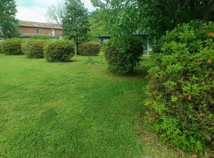 Angela P.'s lawn care services service result