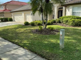 Josh G.'s grass cutting service result