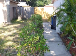 Aaron R.'s Bush Trimming service result