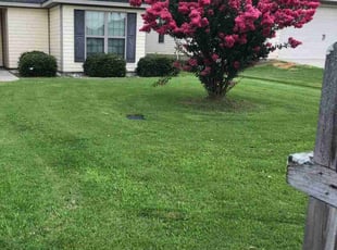 Henry L.'s lawn maintenance service result