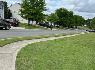 Emma D.'s grass cutting service result