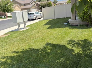 Mike J.'s lawn service service result