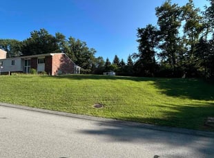 Carol H.'s yard maintenance service result