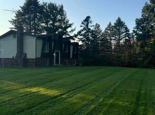 Jacky D.'s lawn care service result