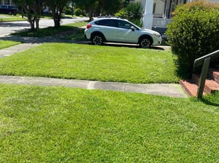Desiree F.'s turf care service result