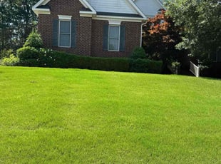 Judy C.'s lawn care service result