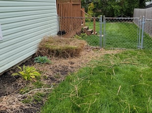 James B.'s Bush Trimming service result