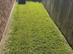 Gary G.'s grass cutting service result