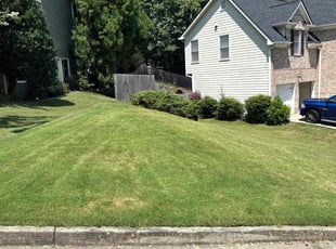 Jen W.'s turf care service result