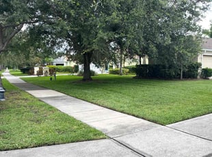 Audra G.'s turf care service result