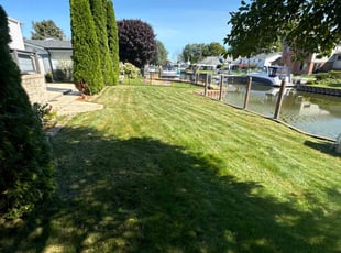 Brian S.'s grass maintenance service result