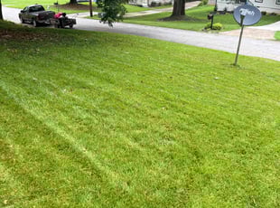 Will C.'s turf maintenance service result