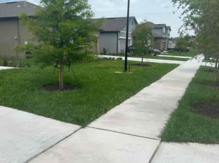 Elizabeth G.'s grass maintenance service result