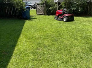 Daniel S.'s lawn service service result