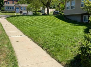 Troy T.'s lawn care service result