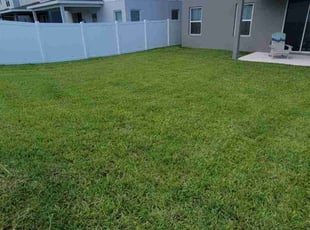 Brianna J.'s lawn service service result