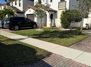 Lakeisha T.'s residential landscaping service result