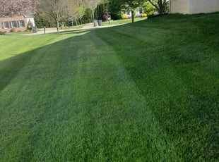 Geraldine W.'s lawn service service result