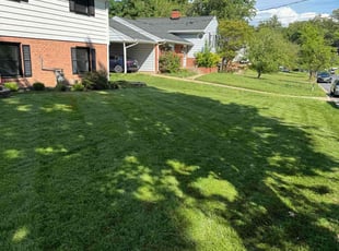 Tom M.'s turf care service result