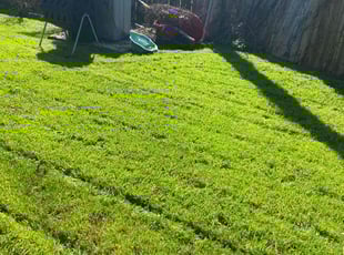 Donna W.'s lawn maintenance service result