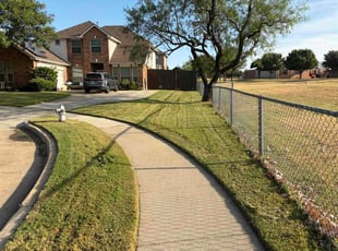 Kathleen H.'s lawn care services service result