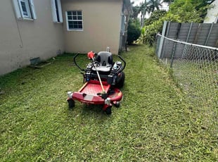 Patricia S.'s lawn service service result