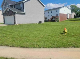 Ron R.'s Long Grass Cleanup service result