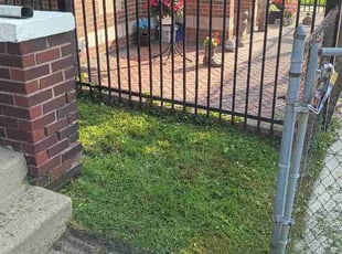 Leiselle D.'s lawn care service result
