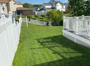 Jim F.'s yard work service result