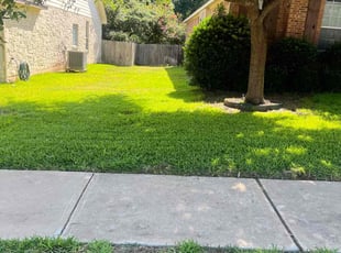 Dean H.'s turf maintenance service result