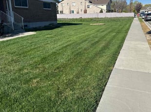 Nate D.'s grass cutting service result