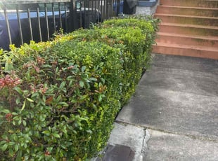 Simeon J.'s Custom service service result