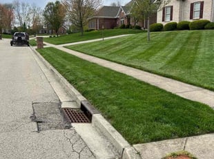 Ally N.'s grass cutting service result