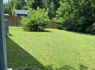Cindy M.'s lawn care services service result