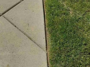 Richard S.'s grass cutting service result