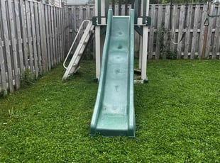Laura B.'s lawn care service result