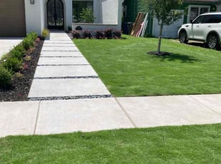 Pam E.'s grass maintenance service result