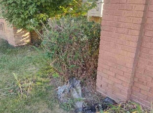 John A.'s lawn service service result