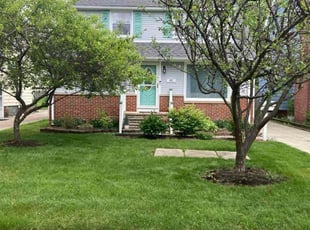 Sheldon J.'s grass cutting service result