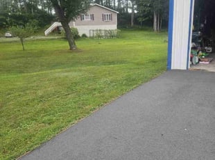 Carol K.'s turf care service result